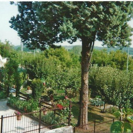 Residence Le Betulle Executive Caselette Екстер'єр фото